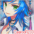 caarool1233